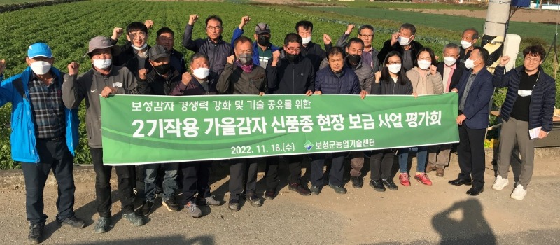 3. 보성군, 신품종 감자 확대 보급 평가회 개최 (3).JPG