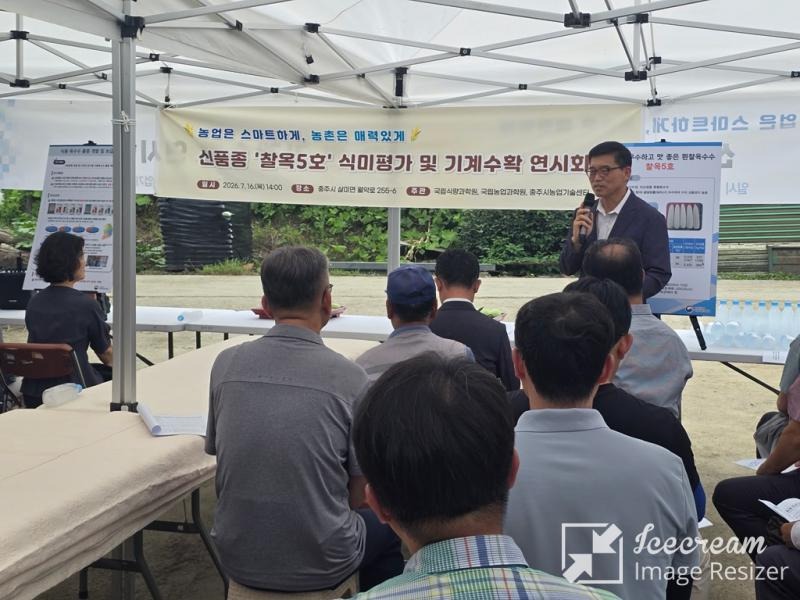 mini_충주시, 찰지고 맛좋은 신품종 ‘찰옥5.jpg