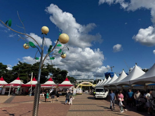 제29회 햇사레 장호원복숭아축제 성황리에 마쳐2 (1).jpg