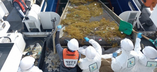태안해경, 태안바다 괭생이모자반 수거 지원2.jpeg
