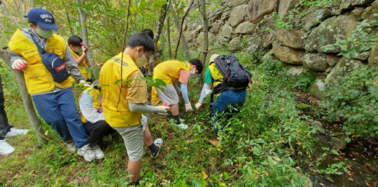 생태계교란 식물 돼지풀 제거 활동(22.10.03., 수도암).jpg