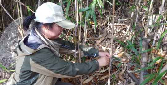 발견된 불법 엽구를 제거하는 모습.jpg