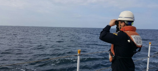 (참고사진 2) 실종자 수색.jpg