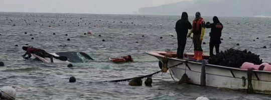 스크린샷(14)ntrn t.jpg