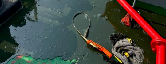 유출된 기름 사진.jpeg