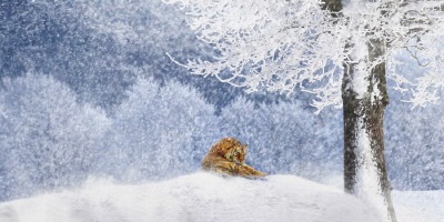 [크기변환]잊혀진 전설, 잃어버린 땅 옛 영토를 그리며... 개인전2.jpg