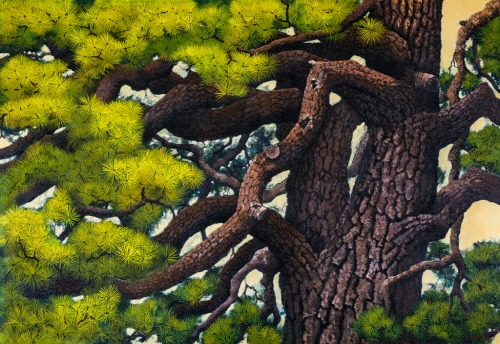 [크기변환]영혼의 울림 - 보은 서원리 소나무.jpg