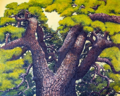 [크기변환]영혼의 울림 - 원주 학곡리 용소나무.jpg