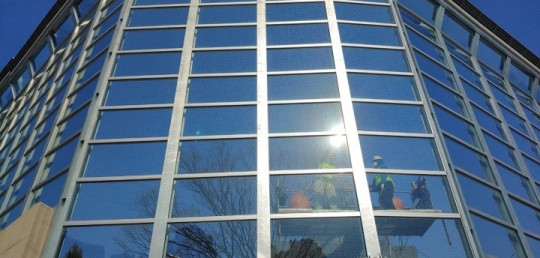 과천시, 야생조류 인공구조물과 충돌 ‘그만!’3.jpg