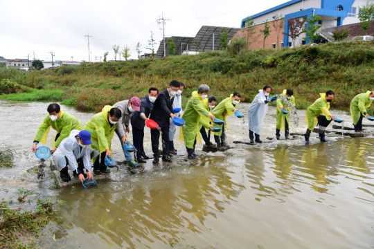 4-횡성군, 내수면 향토어종 치어방류 행사 펼쳐-사진.JPG