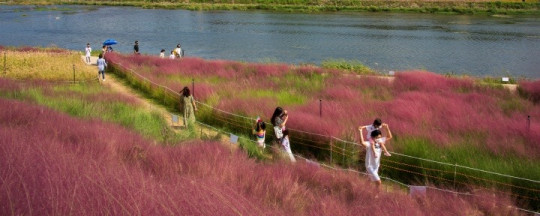 장성군이 ‘남도 숙박할인 빅(big) 리는.jpg