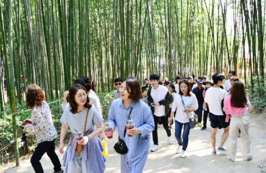 (10.11)죽녹원 (2).jpg