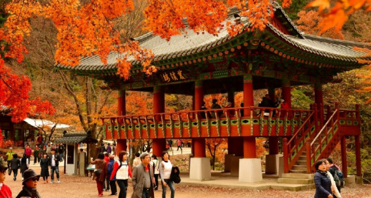 천년고찰 장성 백양사에서 펼쳐지는 ‘막한다.JPG