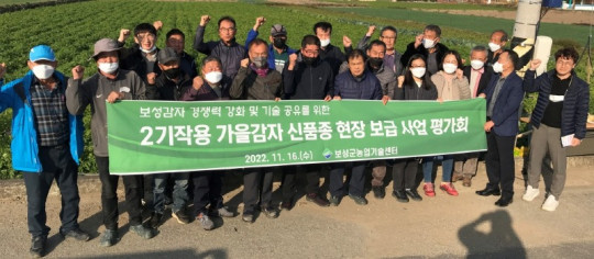 3. 보성군, 신품종 감자 확대 보급 평가회 개최 (3).JPG