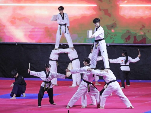 [크기변환][참고]세계태권도연맹(이하 WT)시범단 공연.jpg