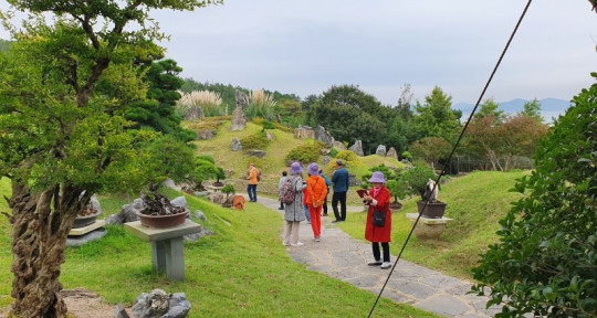 송백분재 전시 (2).jpg