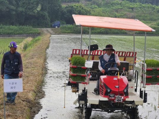 이천시, 벼 드문 모심기 시연회 추진) 1.jpg