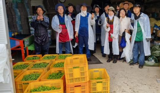 3-1. 한국 석유공사 곡성지사 삼기면 매실농사 일손돕기 1.jpg