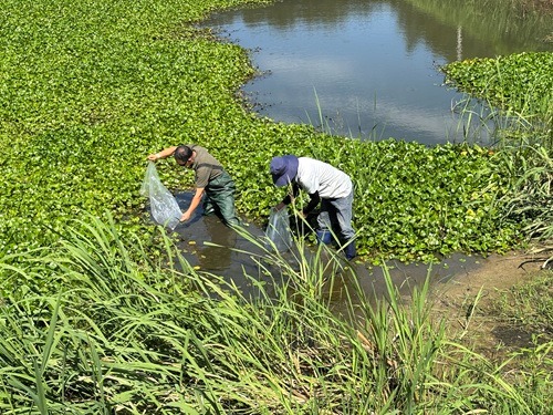 250813 생태계 복원을 위해 대륙송사).jpg